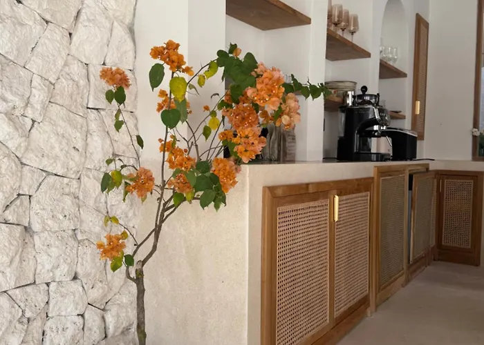 Aloha Boutique فندق مبيت وإفطار 4*